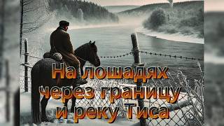 На лошадях через границу и реку Тиса