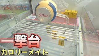 たった100円で取れるカロリーメイトがヤバいww【クレーンゲーム／UFOキャッチャー】