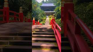 梦幻古寺 雲巌寺 你发现千与千寻的秘密了吗 本旅行 古寺 风景优美空气清新 治愈系风景 #Meditation #Kyoto #日本司导 #Tour #中高级订制图