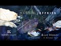 Maggie Jeffries - Blue Honey - PREVIEW