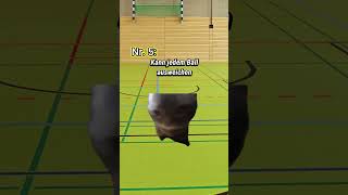 7 Arten von Schülern🏐 (Beim Völkerball) #katzenvideos #katzen #shorts #schüler #schule #katze #sport