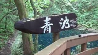 朝のトレッキング　　青森の秘境    世界自然遺産・白神山地