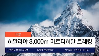 네팔(Nepal) 마르디히말 트레킹 에피소드 - 히말라야 3,000m 나에게도 찾아온 고산병