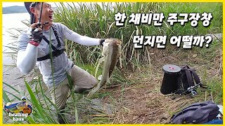 배스낚시! 탁한물에서 프리리그만 계속 던져 봤습니다! #배스낚시 #프리리그 #bassfishing