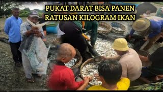 MENJARING IKAN DI PINGGIR PANTAI II PUKAT DARAT BISA PANEN IKAN RATUSAN KILOGRAM