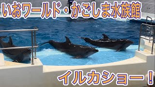 【かごしま水族館】いおワールドかごしま水族館！ジンベイザメやイルカたちが凄すぎた！