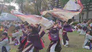 彩ノ京-ハナノミヤコ-四日市よさこい祭り2024『深奥』初披露#四日市よさこい祭り#彩ノ京#ハナノミヤコ#深奥