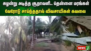 சுழன்று அடித்த சூறாவளி.. தென்னை மரங்கள்  வேரோடு சாய்ந்ததால் விவசாயிகள் கவலை | NewsJ