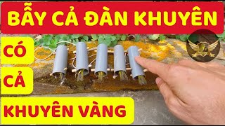 Bẫy Cả Đàn Của Khuyên MẶT SẸO - Bẫy Quá Nhiều Và Dễ - Menjebak Banyak Burung - Trap A Lot Of Birds