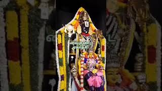 ஸ்ரீ வரதராஜ பெருமாள் கோவில் நாகல்நகர் திண்டுக்கல். #god #shorts #narayana