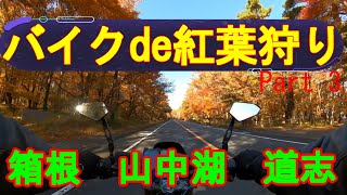 【バイクツーリング】バイクde紅葉狩り3