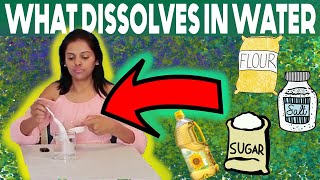 WHAT DISSOLVES IN WATER? | SCIENCE EXPERIMENTS FOR KIDS