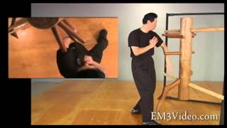 Wing Chun Vol 5 WOODEN DUMMYby Samuel Kwok