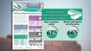 2015 IT Security and Privacy Survey