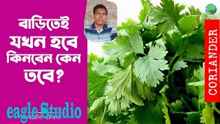 বীরভূম জেলার  ২৫ দিনে ধনে পাতা /নিজের বাড়িতেই