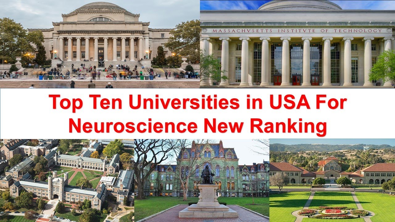 Top Ten Universities In USA For Neuroscience New Ranking - YouTube