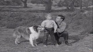 Lassie | Young Flyers |  Full Episodes  🐕