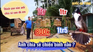 Nhà nghệ nhân có vườn cau quá đẹp chia sẻ bớt chiến binh