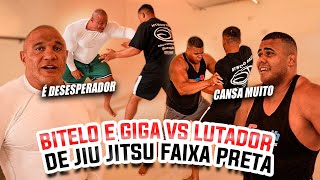 FABIO GIGA E BITELO ENFRENTAM LUTADOR FAIXA PRETA DE JIU JITSU MICA GALVÃO - OLHA COMO FOI