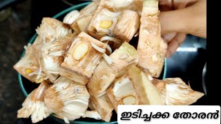 Idichakka/ ഇടിച്ചക്ക തോരൻ നാടൻ recipe/Jackfruit Stirr Fry recipe in malayalam