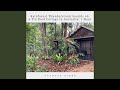 Rainforest Thunderstorm Sounds on a Tin Roof Cottage in Australia: One Hour