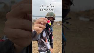 กบส่ายเอ็กซ์ตร้าปลาช่อนบอกของโปรดเลย #ตกปลา #ตกปลาช่อน #fishing