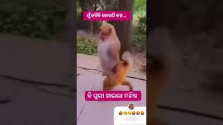 ପୁରୀ ଖିଆ 🤬🤣😂🤬#funny #shortvideo