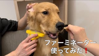 ファーミネーターを使用してみた感想〜ゴールデンレトリバー子犬〜