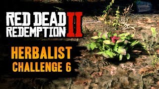 Red Dead Redemption 2 Herbalist Challenge #6 Guide - Pick 15 different species of herb