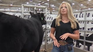 Montana teen traveling country with her prize-winning steer