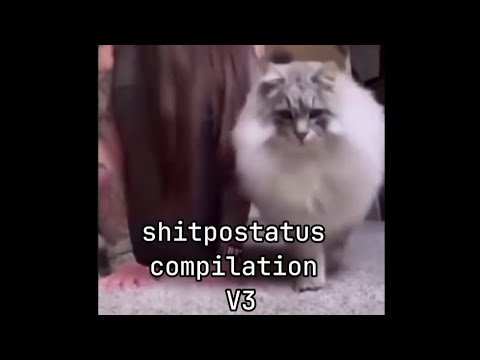 Shitpostatus Compilation V3 De Todo Un Poco Youtube