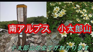 【小太郎山】南アルプスの小太郎山　北岳と間ノ岳を断念し白根御池小屋から登る