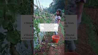 Serunya ajak anak berkebun