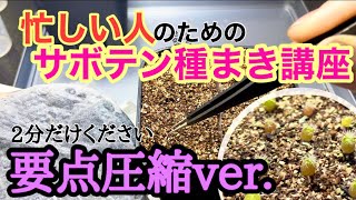 【実生】忙しい人のためのサボテン種まき講座〜2分ちょっとください〜