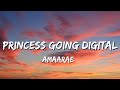 Amaarae - Princess Going Digital (Lyrics)