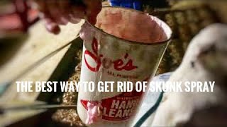 The BEST Way To Remove Skunk Smell | Joe’s All Purpose Hand Cleaner Product Review | SDG Outdoors