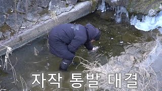 직접 만든 통발로 개울 물고기 잡아보자 !!