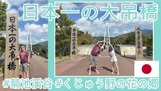 【就醬玩】日本九州｜日本最高的人行吊橋-九重「夢」大吊橋｜菊池溪谷｜くじゅう野の花の郷