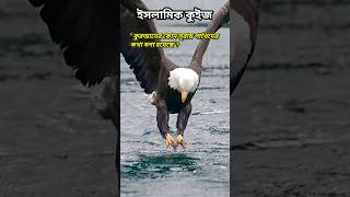 ইসলামিক কুইজ প্রতিযোগিতা #islamicquiz #shortvideo