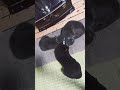 愛猫たちのくつろい relaxation of petcat 猫のいる暮らし 猫のいる生活 petcats