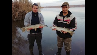 decemberi csukázás #1 (winter pike fishing)