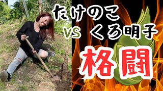 【たけのこ掘り】格闘🔥果たしてたけのこは抜けるのか？ #たけのこ