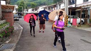 老大一族阿里山鄉樂野慢遊記