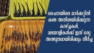 മലയാളികൾക്ക് ഇത് ഒരു അത്ഭുതമായിരിക്കും തീർച്ച