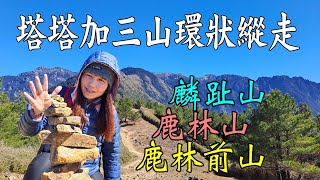 鹿林前山、鹿林山、麟趾山環狀縱走(塔塔加三山)/免申請/眺望玉山群峰最佳視野！