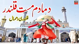 Dama Dam Mast Qalandar Sakhi Shahbaz Qalandar New Sehwan Dhamal | NM Studio