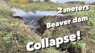 2 Meters Beaver Dam Collapse!