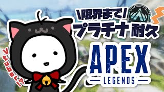 【APEX】限界まで!! プラチナ帯行くまで耐久するんだっ！【たここ/Vtuber】