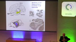 “What rodents have taught us about spatial cognition and memory”John O'Keefe 2018 Paget Lecture