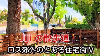 【Jiji の散歩道】ロス郊外のとある住宅街Ⅳ